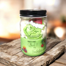 Load image into Gallery viewer, Meet the Grinch- Holiday Favorite