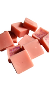Load image into Gallery viewer, Pink Bubblegum Waxmelt
