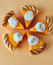 Load image into Gallery viewer, Pumpkin Pie Waxmelt Slices
